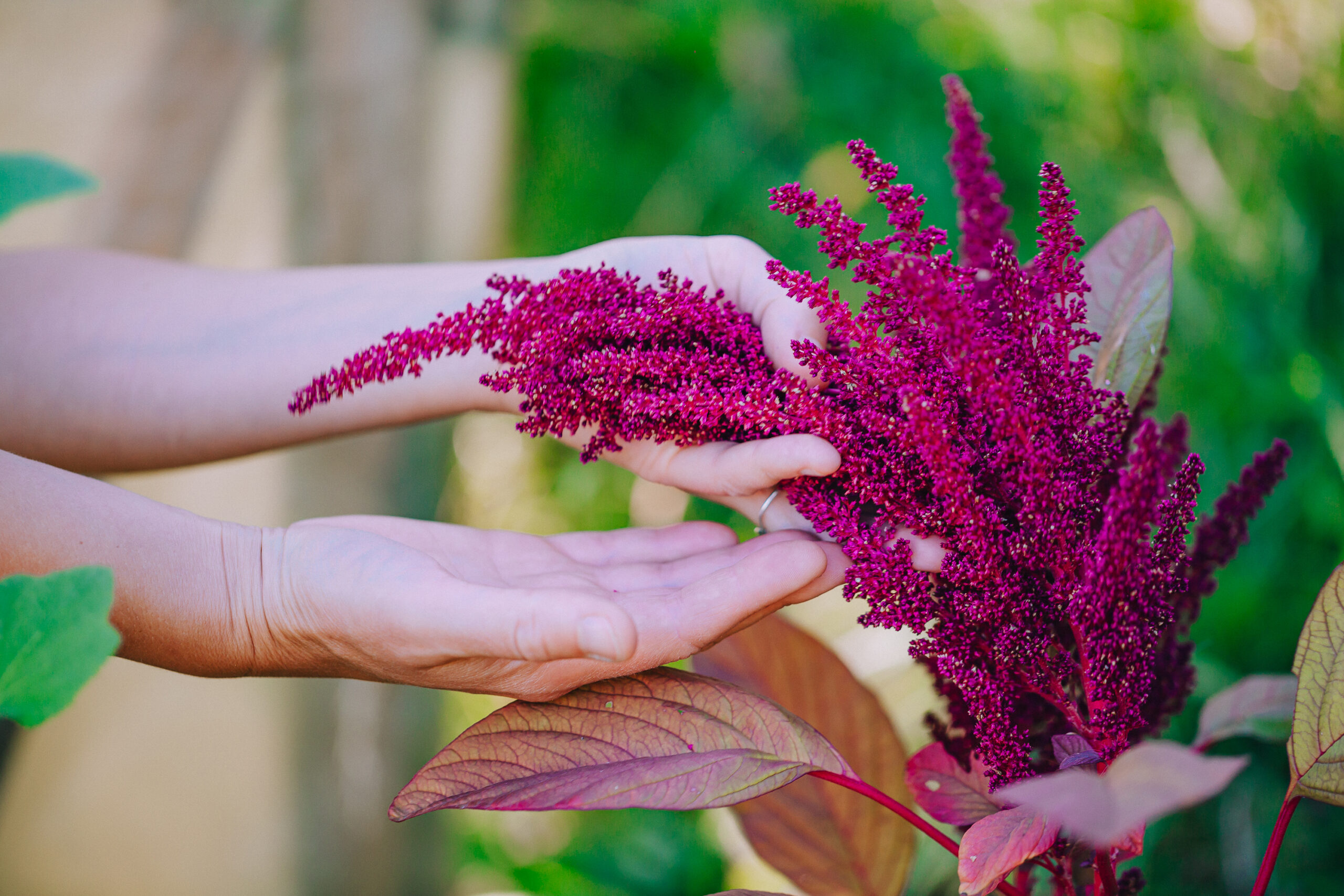 Marianne Dinamarca Müller(7)-1