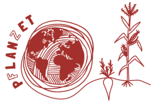 pflanzet-logo-final_transparent
